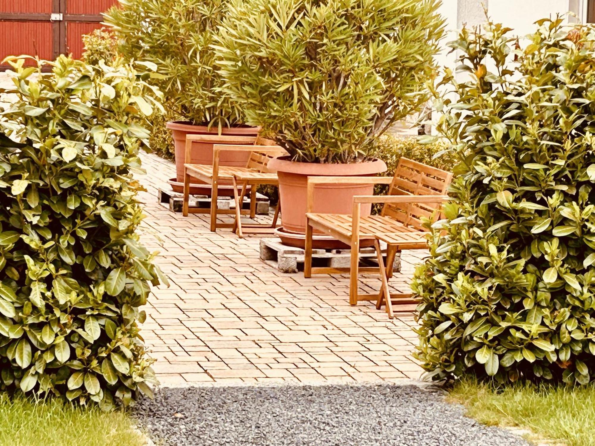 Apartment Casa Rehse: Loft Garden View With Free Parking & Smart Tv *